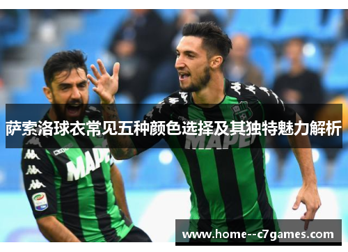 萨索洛球衣常见五种颜色选择及其独特魅力解析