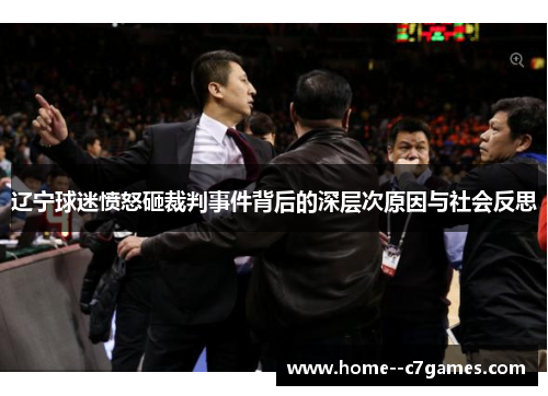 辽宁球迷愤怒砸裁判事件背后的深层次原因与社会反思